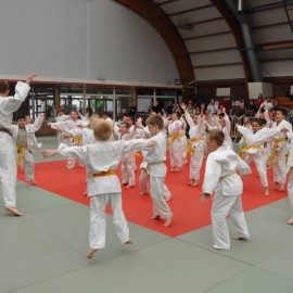 DSC 0359  Small - Judoclub Zaventem 